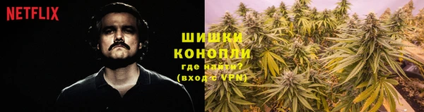 стаф Богданович