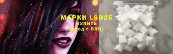 стаф Богданович