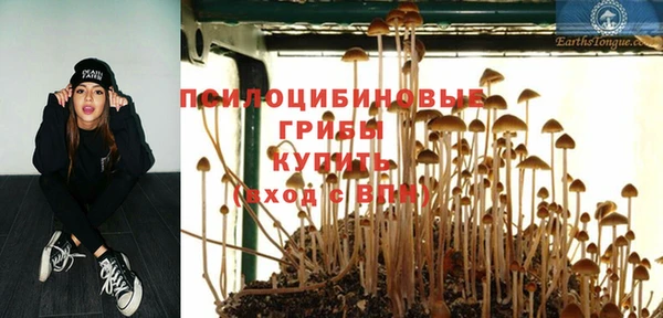 мет Богородицк