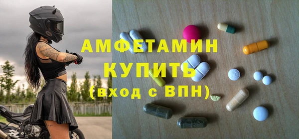 стаф Богданович