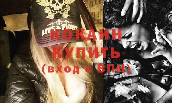 твердый Богородск